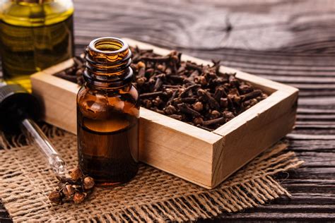 28 Proven Health Benefits Of Clove Oil Health Tips