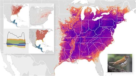 Data Visualization Amazing Maps Of Bird Migration In North America