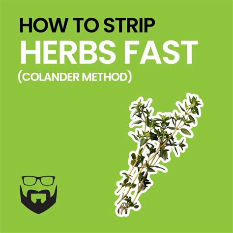 How To Strip Herbs Fast 2 Ways