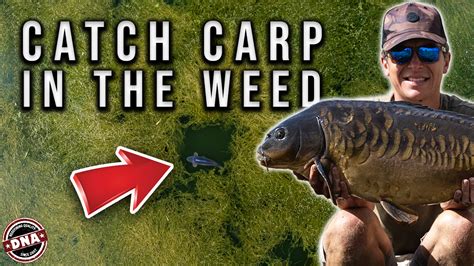 Catch Carp In The Weed Dna Baits Dna Baits