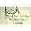 How To Find Your Animal Spirit Guide  Exemplore