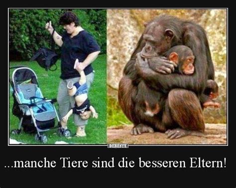 Lustige bilder, sprüche, witze, echt download der rausch des alters! ...manche Tiere sind die besseren Eltern! | Lustige Bilder ...