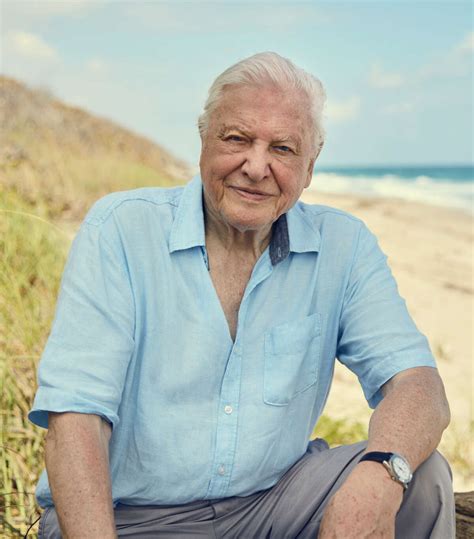 Britains David Attenborough Enjoys A Moment As His Blue Planet Ii