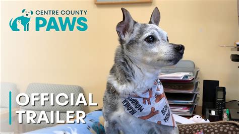 The Shelter Official Trailer Centre County Paws Centre Gives 2021