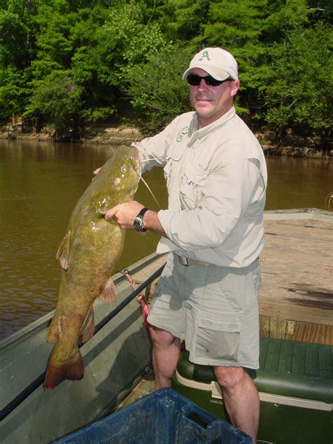 Asfis list of species includes 13 060 species items selected according to their interest or relation to fisheries and aquaculture. Fish Diversity in the CPY Rivers - Choctawhatchee, Pea and ...