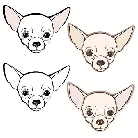Black And White Chihuahuas Drawing Illustrations Royalty Free Vector