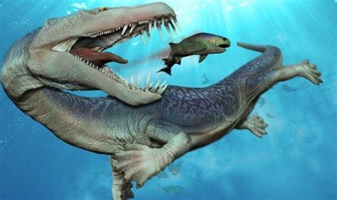 Nothosaurus Prehistoric World Prehistoric Creatures Reptiles Mammals