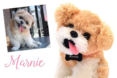 Petsies Turns Insta Famous Pets Into Adorable Stuffed Animals Cute