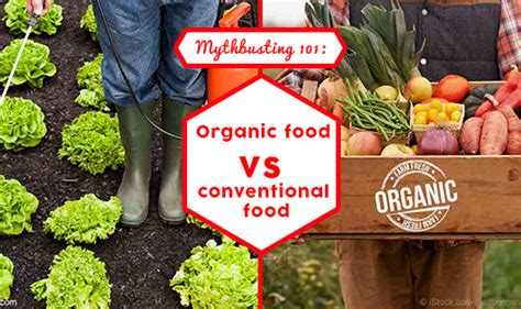 Mythbusting 101 Organic Food Vs Conventional Food The Wellness Corner