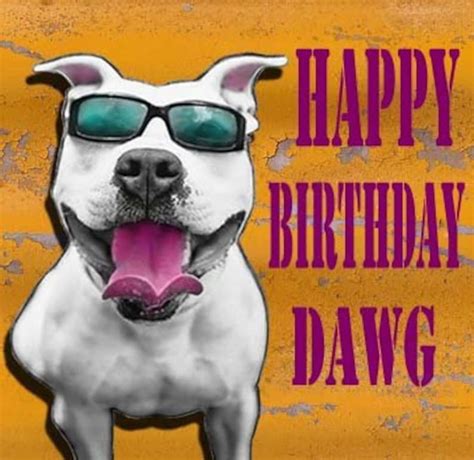 Happy Birthday Card Pit Bull Pitbull Dog Birthday Card Etsy