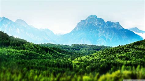 Mountain Forest 4k Wallpapers Top Free Mountain Forest 4k Backgrounds