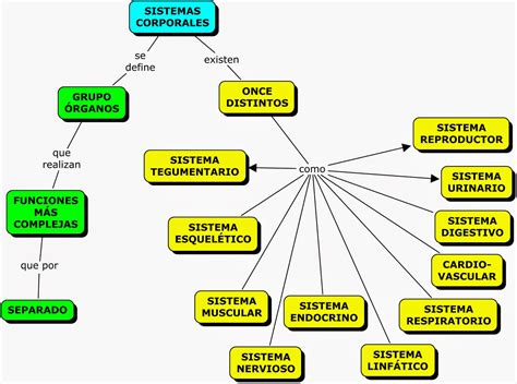 Mapa Conceptual Sobre Aparatos Y Sistemas Corporales Mapas Conceptuales Sexiz Pix
