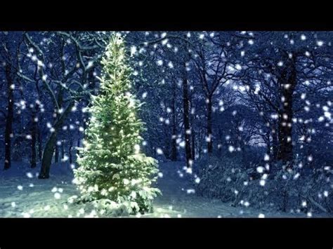 Hours Snowfall On Christmas Tree In The Woods Video Audio Hd Slowtv Youtube