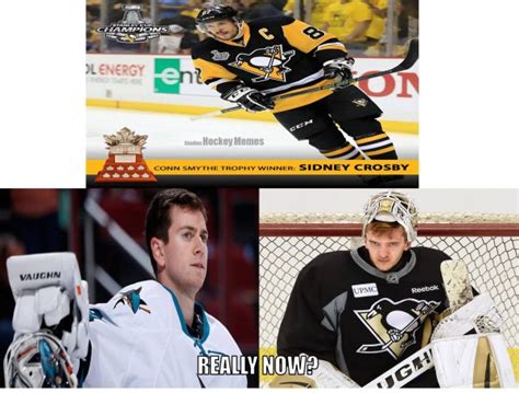 22 Best Memes Of The Pittsburgh Penguins Winning The Stanley Cup