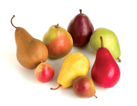 Differences In Pear Varieties Stemilt
