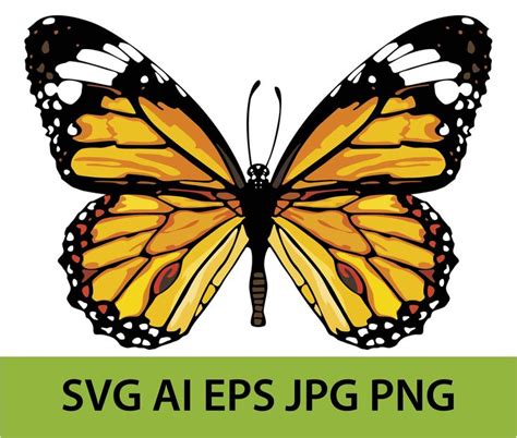 Monarch butterfly SVG DIGITAL DOWNLOAD file | Etsy in 2021