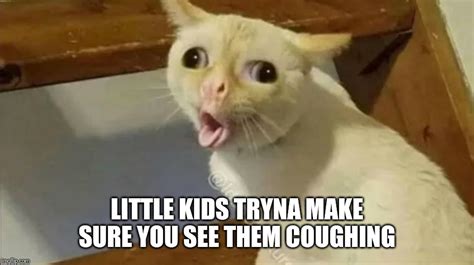 Little Kids Tryna Make Sure You See Them Coughing Rmemes