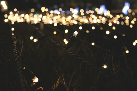 Lighted String Lights · Free Stock Photo