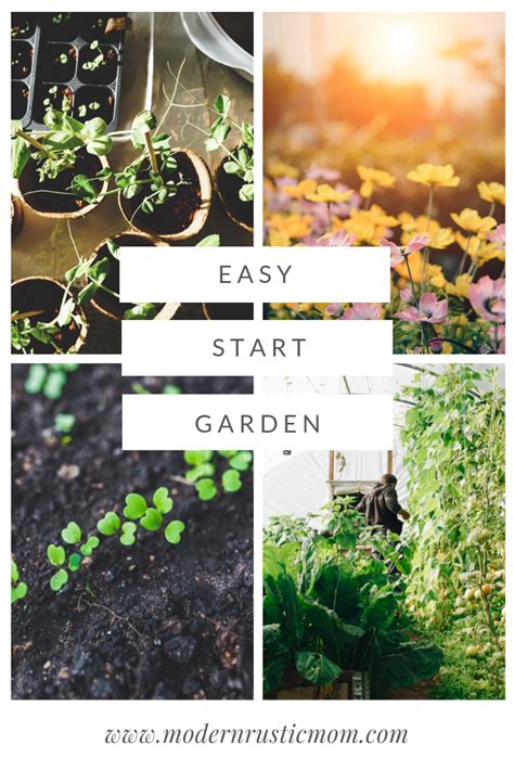 8 Simple Steps To Start A Garden Modern Rustic Mom