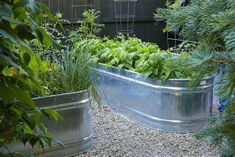 How To Make Galvanized Raised Garden Beds How To Grow Vegetables In A