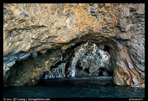 Picturephoto Elephant Belley Sea Cave Santa Cruz Island Channel