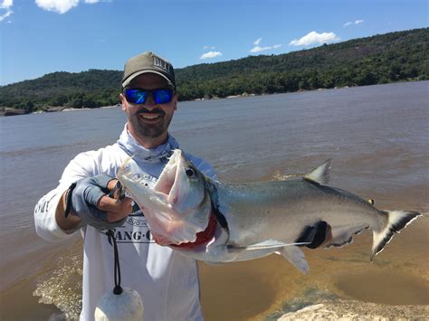 photo 3 | Ultimate Fishing