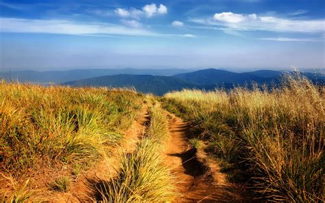 Photography Nature Landscape Plants Grass Path Hill Wallpapers Hd