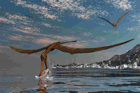 How Do Pterodactyls Hunt The Surprising Adaptations That Helped Them
