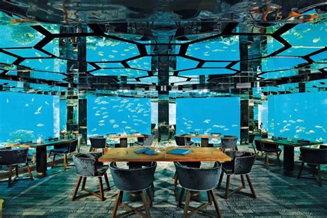 3 Must Visited Underwater Restaurants In Maldives Swan Tours