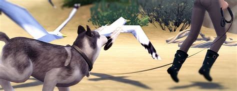 Take The Lead Dog Leash Override At Magnolian Farewell Sims 4 Updates