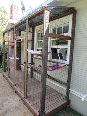 All our cats are indoor cats with full access to our first floor balcony (which runs the length of our house) and a enclosure. Cat Enclosures - Marin Humane