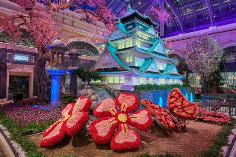 Bellagios Conservatory And Botanical Gardens Celebrates Japan With