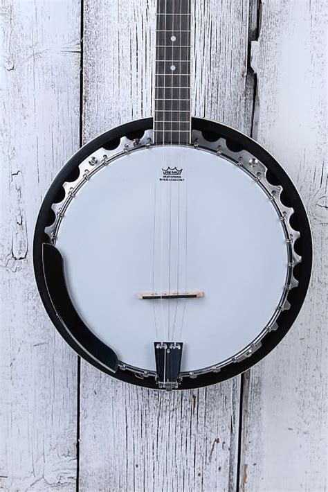 Washburn B9 Americana Series 5 String Resonator Back Banjo Reverb