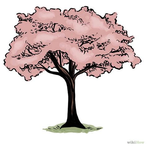 Em Geral 90 Imagen How To Draw Cherry Blossom Tree Step By Step Alta