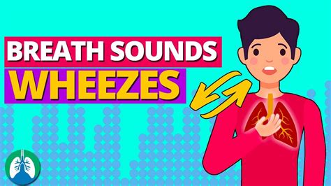 Wheezes Lung Sounds What Is Wheezing Breath Sounds Guide Youtube