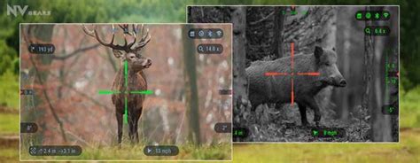 Best Night Vision Scopes For Coyote Hunting In Updated Review