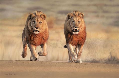 Hyperreal Animal Paintings Animals Animal Paintings Lion Photography