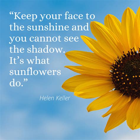 Sunflower Quotes To Inspire And Brighten Your Day Sunflower Quotes