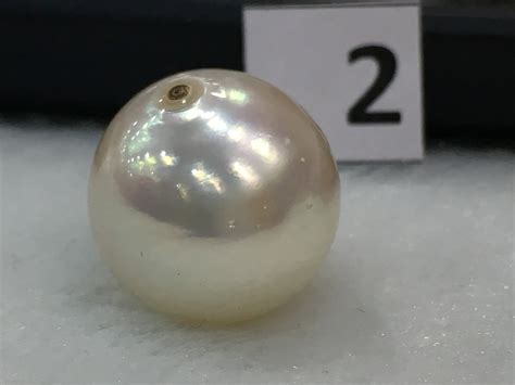 Amazing Giant Pearl Excellent Quality Indonesia South Sea Off Etsy