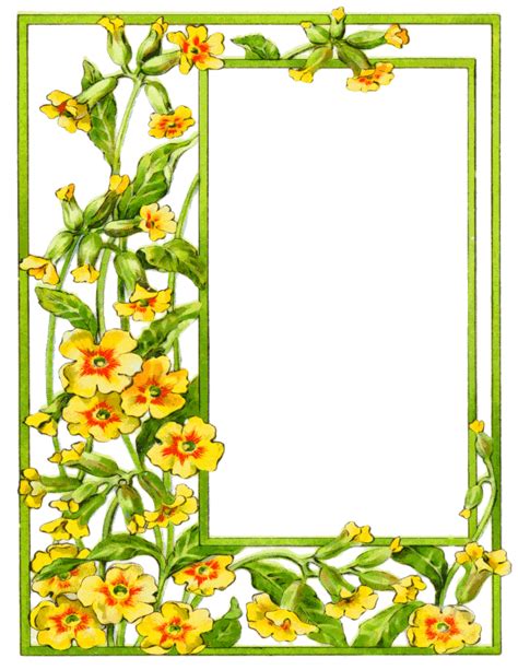 Photo frame with wonderful tulips, roses, aster. flowers for flower lovers.: photo frames designs.