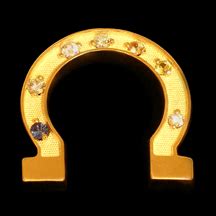 Text symbols that are usual characters, but turned around. Diamond Studded Golden Horseshoe