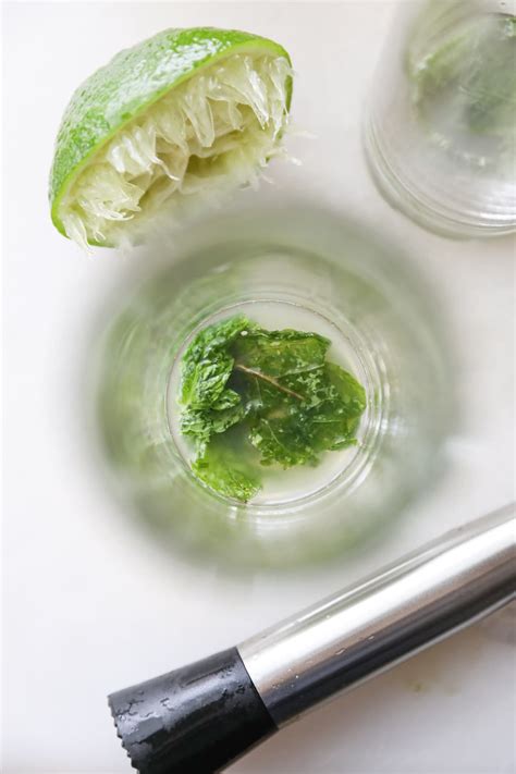 Mojito Mocktails Virgin Mojito Recipe Laurens Latest