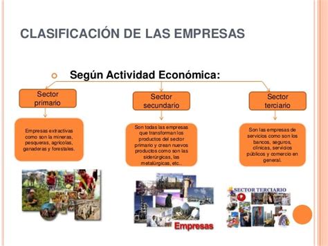 Empresas Segun Su Actividad Gufa