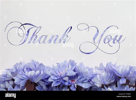 Thank You Greeting Card With Flowers And Beautiful Handwriting Stock