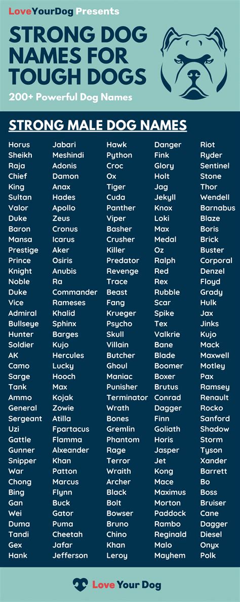 Tough Dog Names 200 Strong And Powerful Names For Male Dogs Dog Names