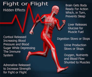 The fight or flight response was originally described by american physiologist walter bradford cannon in the book bodily changes in pain, hunger, fear and rage (1915). Fight or Flight: ADD/ADHD - Optimum Health, Natural ...