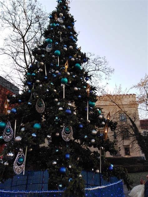 Choinka Z Pl Wszystkich Świętych Kraków 051219🎄 Christmas Tree