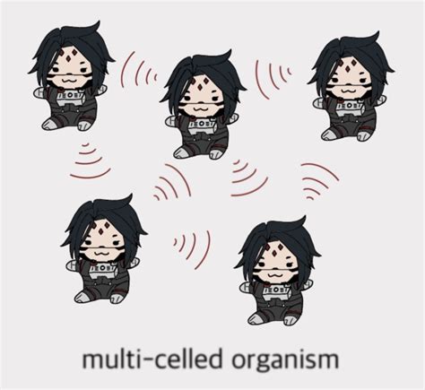 ﻿multi Celled Organism Kolibri Signalis Signalis Games