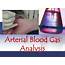 PPT  Arterial Blood Gas Analysis PowerPoint Presentation ID670157