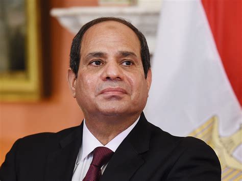 Egypt braced for protests as President Sisi urges citizens 